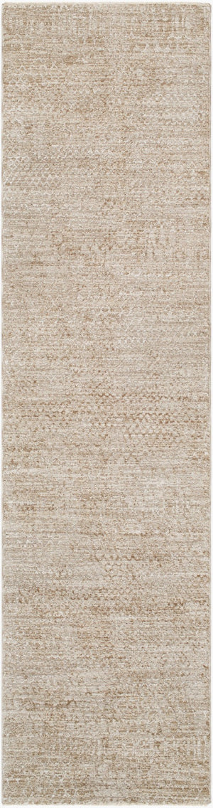 Livabliss Masterpiece Bohemian Area Rug Turkey Woven Polyester Fringe Accent Living Room Floor Light Gray, Med 2'7" x 7'3" MPC2303-2773