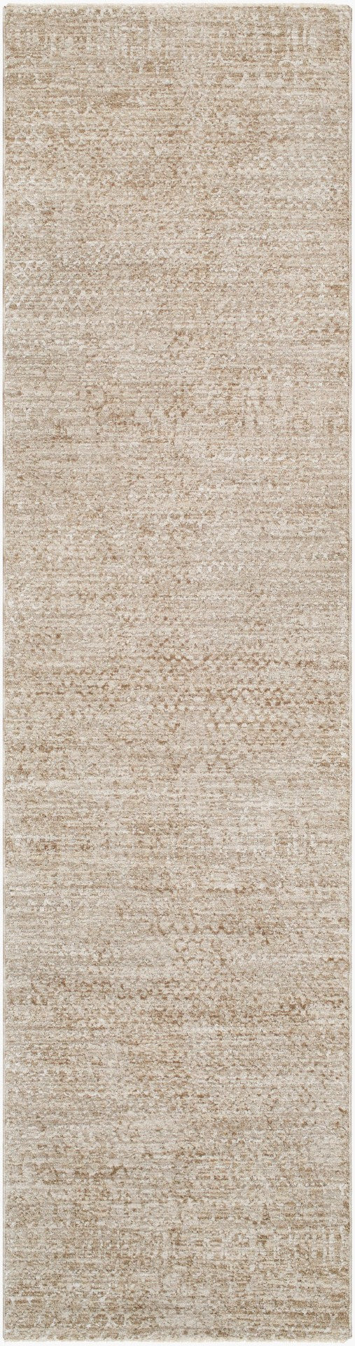 Livabliss Masterpiece Bohemian Area Rug Turkey Woven Polyester Fringe Accent Living Room Floor Light Gray, Med 2'7" x 7'3" MPC2303-2773
