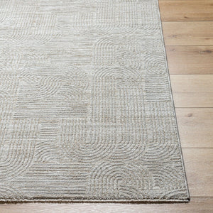 Livabliss Masterpiece Turkish Woven Polyester Area Rug with Fringe for Living and Dining Rooms Light Gray, Med 2'7" x 7'3" MPC2311-2773