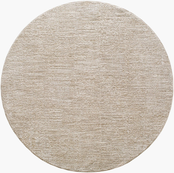 Livabliss Masterpiece Traditional Polyester Area Rug with Fringe for Formal Living Dining Rooms Light Gray, Med 5'3" x 5'3" MPC2321-53RD