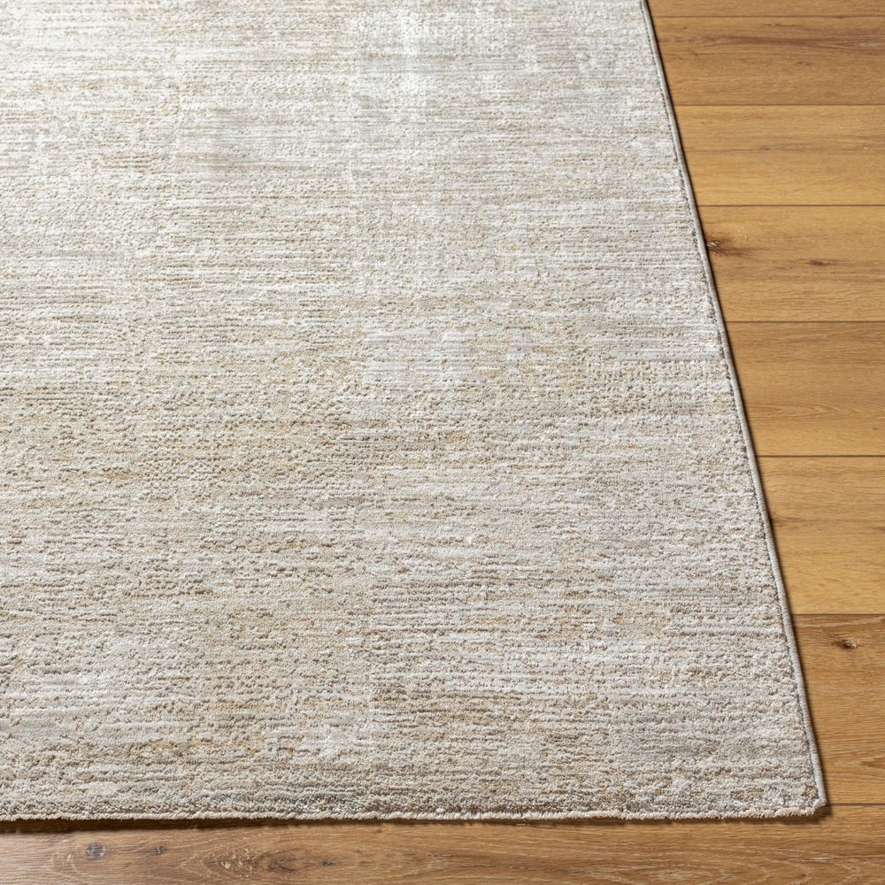Livabliss Masterpiece Traditional Polyester Area Rug with Fringe for Formal Living Dining Rooms Light Gray, Med 5'3" x 5'3" MPC2321-53RD