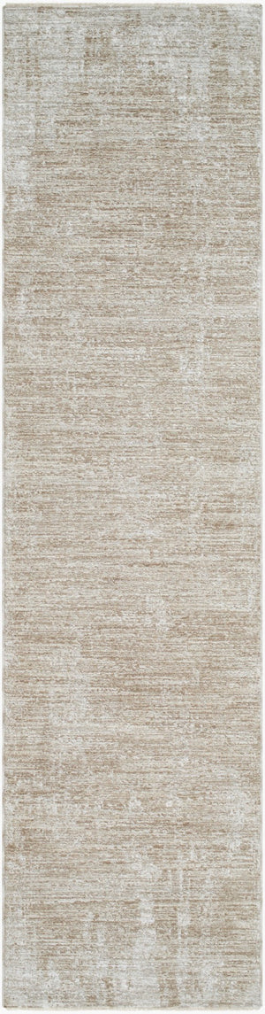 Livabliss Masterpiece Turkish Polyester Area Rug with Fringe Traditional Pattern for Living Rooms Medium Gray, Li 2'7" x 7'3" MPC2322-2773