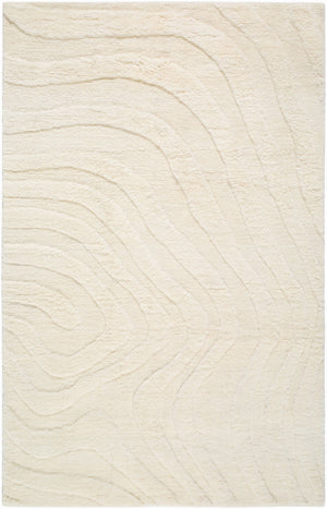 Surya Manpura Hand Knotted New Zealand Wool Rug Minimalist Artisan Accent for Modern Interiors 9' x 12' Rectangle MPR2304-912