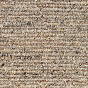 Miramar MRM-2302 9' x 12' Handmade Rug MRM2302-912  Brown, Light Brown, Charcoal, Beige Surya