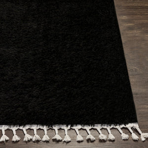 Livabliss Merino Bohemian Global Pattern Polyester Area Rug with Fringe Accent for Entryway or Bedroom Black, Cream 4'4" x 6'5" MRO2300-4464
