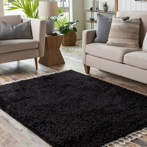 Livabliss Merino Bohemian Global Pattern Polyester Area Rug with Fringe Accent for Entryway or Bedroom Black, Cream 4'4" x 6'5" MRO2300-4464