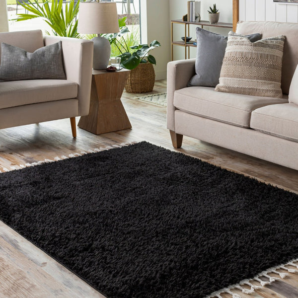 Livabliss Merino Bohemian Global Pattern Polyester Area Rug with Fringe Accent for Entryway or Bedroom Black, Cream 4'4" x 6'5" MRO2300-4464