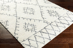 Livabliss Maroc Bohemian Shag Rug Plush Polypropylene Pile Global Geometric for Entryways MRS2303-23