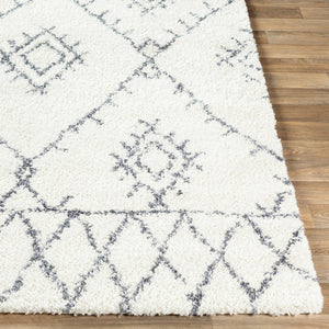 Livabliss Maroc Bohemian Shag Rug Plush Polypropylene Pile Global Geometric for Entryways MRS2303-23