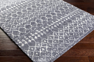 Livabliss Maroc Geometric Shag Area Rug Plush Polypropylene Pile Moroccan Style Entryway MRS2308-23