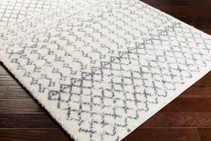 Livabliss Maroc Global Geometric Shag Rug Plush Polypropylene Pile for Entryways and Bedrooms MRS2311-23