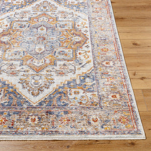 Livabliss Misterio Flatweave Polyester Area Rug Traditional Pattern for Entryways and Bedrooms MST2306-32411