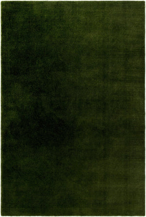 Surya Modest 10' X 14' Hand-knotted Handmade Rug From Recycled Pet Yarn - Elegant Eco-friendly Decor Piece Forest Green Recycled Pet Yarn Mtd2303-1215