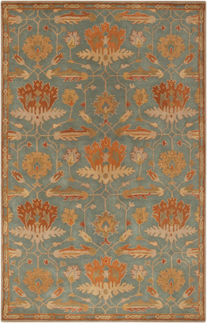 Surya Mentone Hand Tufted New Zealand Wool Accent Rug Traditional Motifs for Classic Interiors MTO7007-23