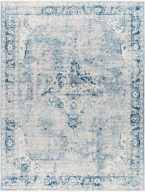 Livabliss Montreal Traditional Polyester Area Rug Turkey Woven Living Room Large Floor Accent MTR2301-92131