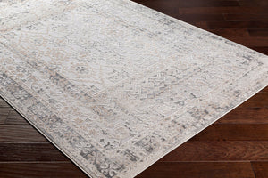 Livabliss Marvel Traditional Motif Transitional Area Rug Turkey Woven Polypropylene Entryway Accent MVL2303-23