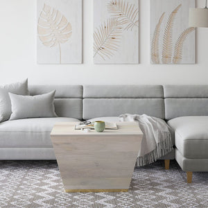 English Elm Abba Solid Mango Wood Square Coffee Table in White Wash with Brass Accent Trim, 28" x 28" x 18.5" B136P159923