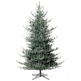 Park Hill Blue Spruce Christmas Tree, 10' XPQ82162 Park Hill