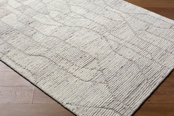 Livabliss Marco Handwoven Cotton Wool Accent Rug Art Deco Pattern for Entryway or Bedroom Beige, Taupe 9' x 12' MXO2302-912