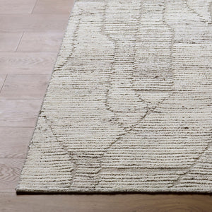 Livabliss Marco Handwoven Cotton Wool Accent Rug Art Deco Pattern for Entryway or Bedroom Beige, Taupe 9' x 12' MXO2302-912