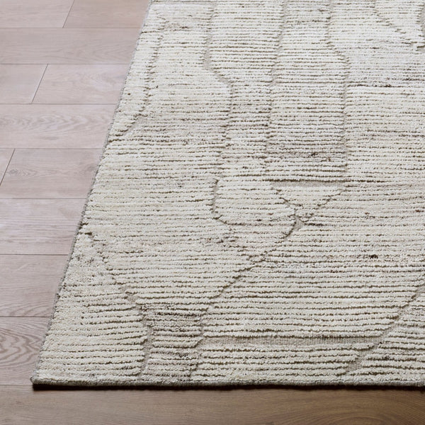 Livabliss Marco Handwoven Cotton Wool Accent Rug Art Deco Pattern for Entryway or Bedroom Beige, Taupe 9' x 12' MXO2302-912