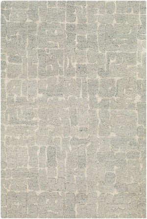 Livabliss Madelyn Hand Tufted Wool Area Rug Modern Pattern for Entryway Bathroom or Bedroom Light Gray, Lig 2' x 3' MYN2305-23