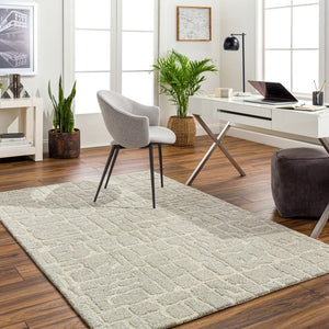 Livabliss Madelyn Hand Tufted Wool Area Rug Modern Pattern for Entryway Bathroom or Bedroom Light Gray, Lig 2' x 3' MYN2305-23