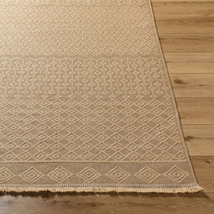 Livabliss Mystery Flat Weave Jute Rug with Fringe Turkish Woven Bohemian Entryway Accent MYS2303-2745