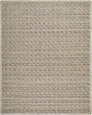 Surya Mimoza Handwoven High Pile Area Rug Soft Polyester Cotton Blend for Modern Living Rooms 2' x 3' Rectangle MZZ2301-23
