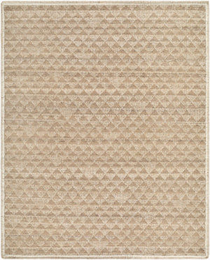 Surya Mimoza Handwoven Plush High Pile Area Rug for Large Living Rooms Minimalist Modern Decor 2' x 3' Rectangle MZZ2302-23