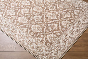 Livabliss Aram Machine Woven Turkish Accent Rug Cotton Polyester Blend for Entryways and Halls Dark Brown, Oat 7'9" x 10' NBAR2306-7910