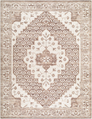 Livabliss Athiyo Machine Woven Cotton Blend Traditional Accent Rug for Entryway or Bedside Dark Brown, Oat 7'9" x 10' NBAT2305-7910