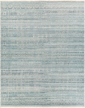 Surya Nobility Hand Knotted Wool Viscose Area Rug Traditional Fringe Living Room Accent 8' x 10' Rectangle NBI2300-810