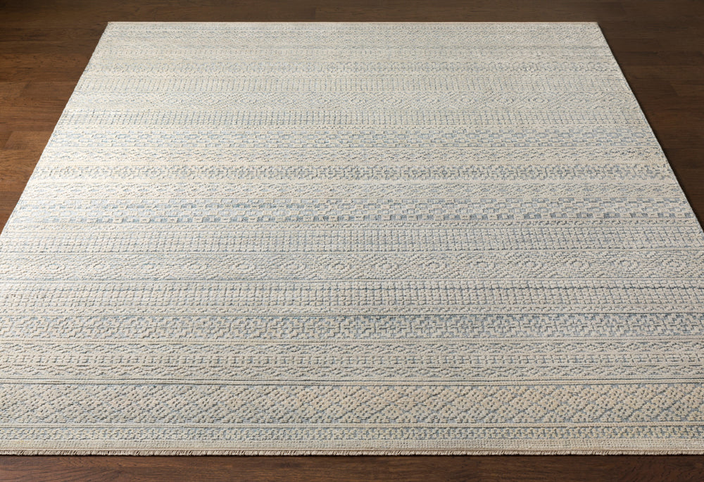 Nobility NBI-2309 6' x 9' Handmade Rug NBI2309-69  Ice Blue, Blue, Navy, Ivory, Taupe Surya