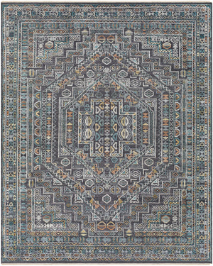 Nobility NBI-2315 8' x 10' Handmade Rug NBI2315-810  Charcoal, Light Gray, Wheat, Peach, Ice Blue Surya