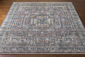 Nobility NBI-2315 8' x 10' Handmade Rug NBI2315-810  Charcoal, Light Gray, Wheat, Peach, Ice Blue Surya
