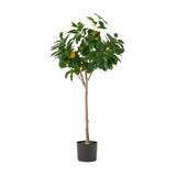 Christopher Knight Home® Noble House 120Cm Artificial Lemon Tree