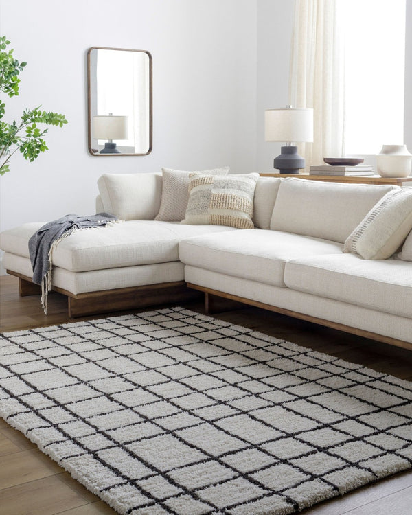 Livabliss Nicole Hand Tufted Microfiber Plush Area Rug for Entryway Bath or Small Accent Space NCO2300-23