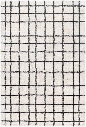 Livabliss Nicole Hand Tufted Microfiber Plush Area Rug for Entryway Bath or Small Accent Space NCO2300-23