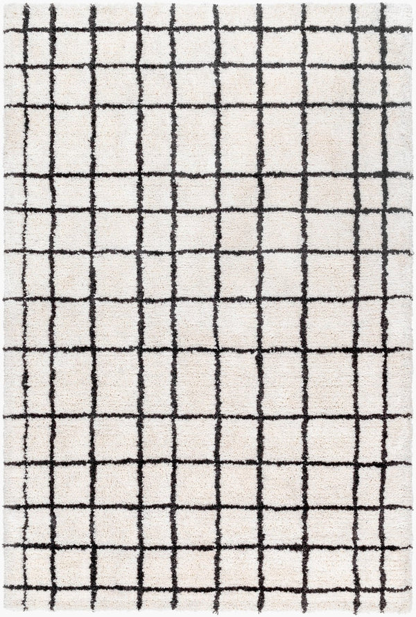 Livabliss Nicole Hand Tufted Microfiber Plush Area Rug for Entryway Bath or Small Accent Space NCO2300-23