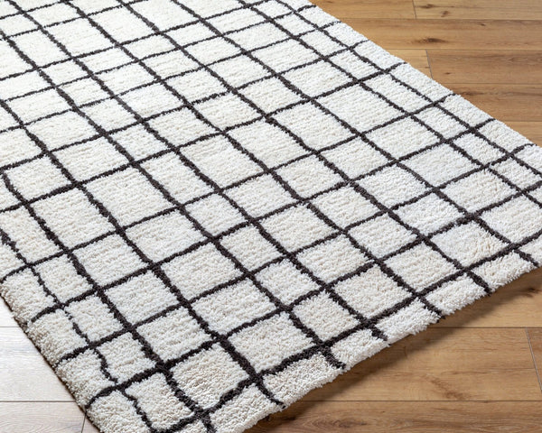 Livabliss Nicole Hand Tufted Microfiber Plush Area Rug for Entryway Bath or Small Accent Space NCO2300-23