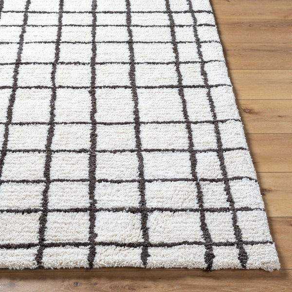 Livabliss Nicole Hand Tufted Microfiber Plush Area Rug for Entryway Bath or Small Accent Space NCO2300-23