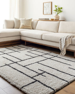 Livabliss Nicole Hand Tufted Microfiber Accent Rug Plush High Pile for Entryway or Bedroom Ivory, Charcoal 2' x 3' NCO2301-23