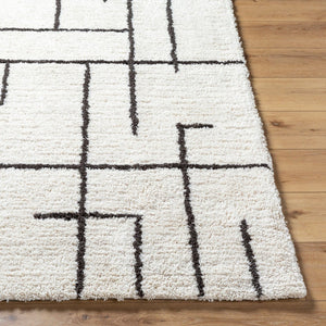 Livabliss Nicole Hand Tufted Microfiber Accent Rug Plush High Pile for Entryway or Bedroom Ivory, Charcoal 2' x 3' NCO2301-23