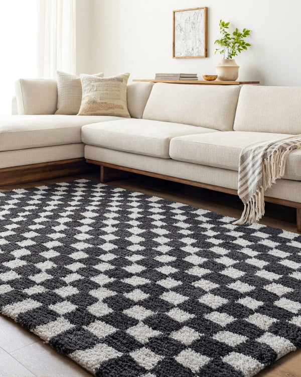 Livabliss Nicole Hand Tufted Microfiber Accent Rug Soft High Pile for Entryway or Bedside NCO2302-23