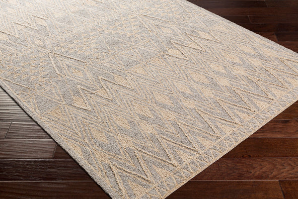 Surya Newcastle Handmade 2' X 3' Bohemian-style Wool Rug - Luxurious High Pile, Easy Maintenance & Unique Design Beige Wool Ncs2317-46