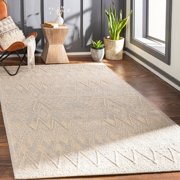 Surya Newcastle Handmade 2' X 3' Bohemian-style Wool Rug - Luxurious High Pile, Easy Maintenance & Unique Design Beige Wool Ncs2317-46