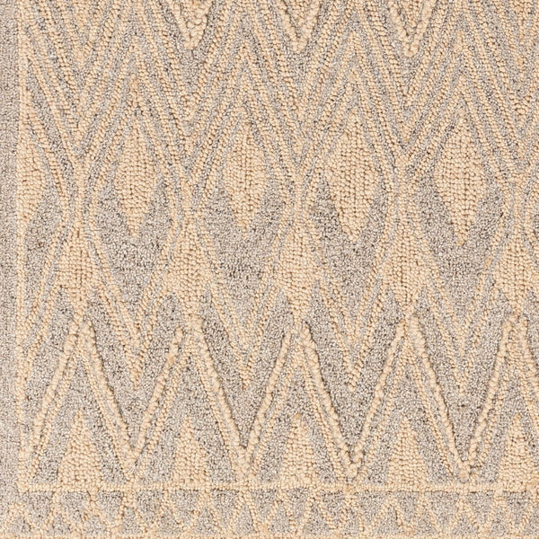 Surya Newcastle Handmade 2' X 3' Bohemian-style Wool Rug - Luxurious High Pile, Easy Maintenance & Unique Design Beige Wool Ncs2317-46