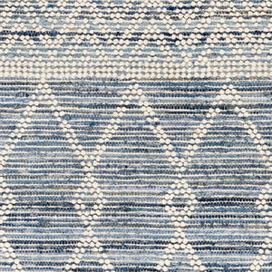 Livabliss Nadine Handwoven Wool Cotton Bohemian Runner Rug for Hallways and Entryways Ivory, Navy 9' x 12' NDD2301-912