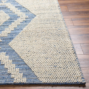 Livabliss Nadine Hand-woven Cotton Wool Blend High Pile Accent Rug for Entryways and Bedrooms Beige, Ivory 9' x 12' NDD2303-912